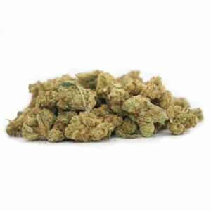 Mini Buds Indoor – Amnesia Hy Pro